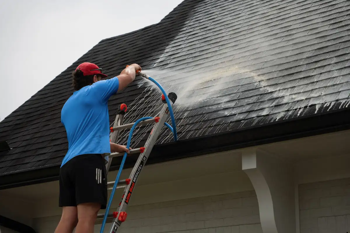 Roof soft wash &mdash; algae & black streaks removed